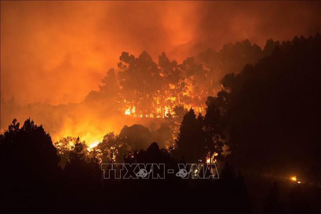 Cháy rừng ở đảo Gran Canaria của Tây Ban Nha đã giảm dần - Ảnh 1.