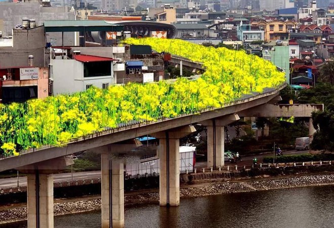 Đường sắt Cát Linh - Hà Đông bỗng hóa hoa vàng trên cỏ xanh qua bàn tay photoshop, thêm loạt lựa chọn bất ngờ được dân mạng ủng hộ rào rào - Ảnh 1.