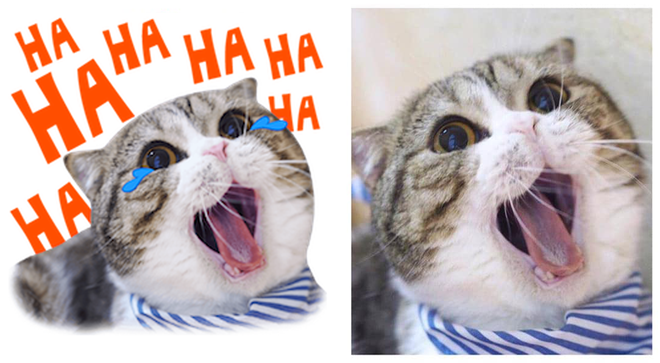 Nguồn gốc bộ sticker mèo đang làm Facebook chao đảo: Cả dòng họ boss thần thái đỉnh cao như mẫu lookbook! - Ảnh 7.