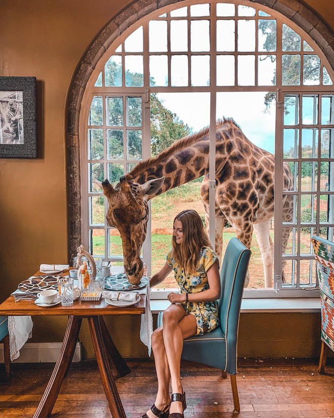 Khách sạn nổi tiếng nhất châu Phi vì cho du khách ăn sáng cùng hươu cao cổ: Dễ thương thật, nhưng cái giá thì “chát” quá! - Ảnh 16.