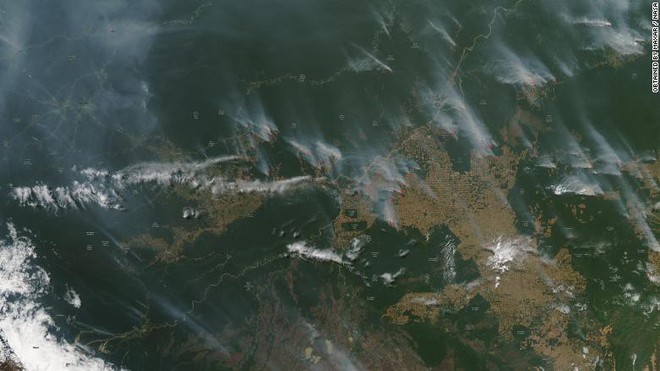 Tại sao rừng Amazon cháy đến tận 3 tuần chúng ta mới nhận ra sự việc đã trở nên nghiêm trọng đến mức nào? - Ảnh 1.