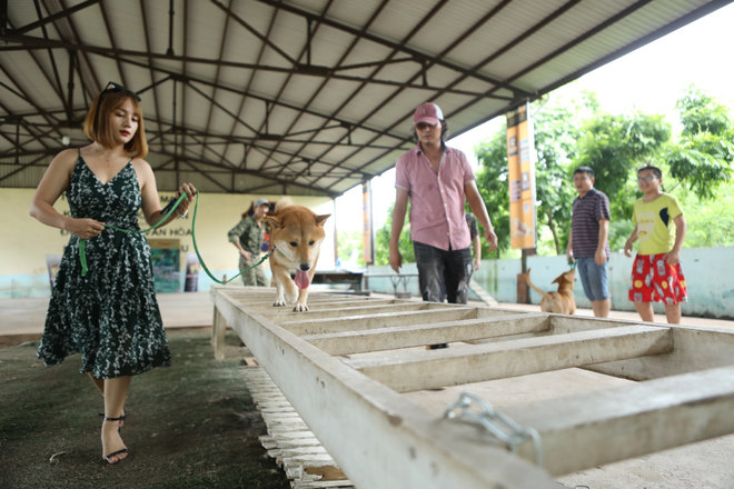 Boss diễn viên đầu tiên của điện ảnh Việt đã xuất hiện: Cậu Vàng kháu khỉnh, mới 2 tuổi đã cực nhanh nhẹn và nghe lời nha mấy cô chú! - Ảnh 6.