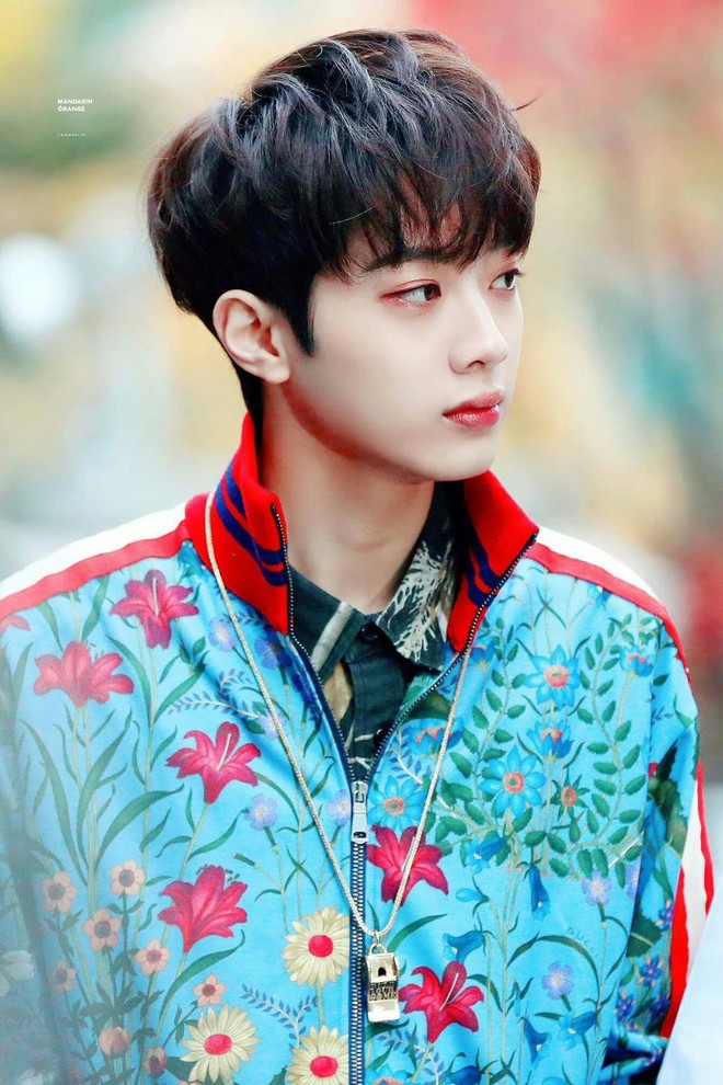 guanlin  take my heart  10 sinh nhật vui vẻ  Wattpad