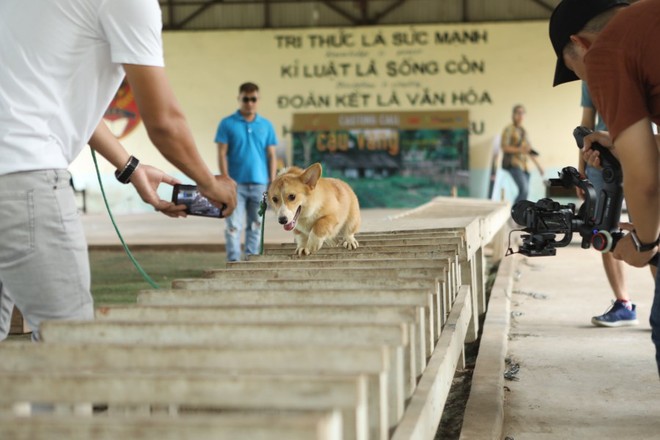 Boss diễn viên đầu tiên của điện ảnh Việt đã xuất hiện: Cậu Vàng kháu khỉnh, mới 2 tuổi đã cực nhanh nhẹn và nghe lời nha mấy cô chú! - Ảnh 4.