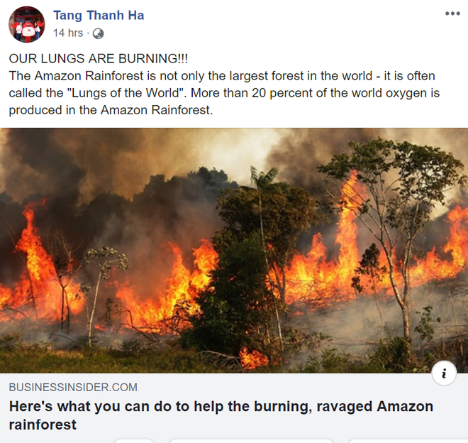 Giới trẻ Việt Nam: Bạn hãy đừng nghĩ cháy rừng Amazon là điều gì đó quá xa xôi! - Ảnh 2.