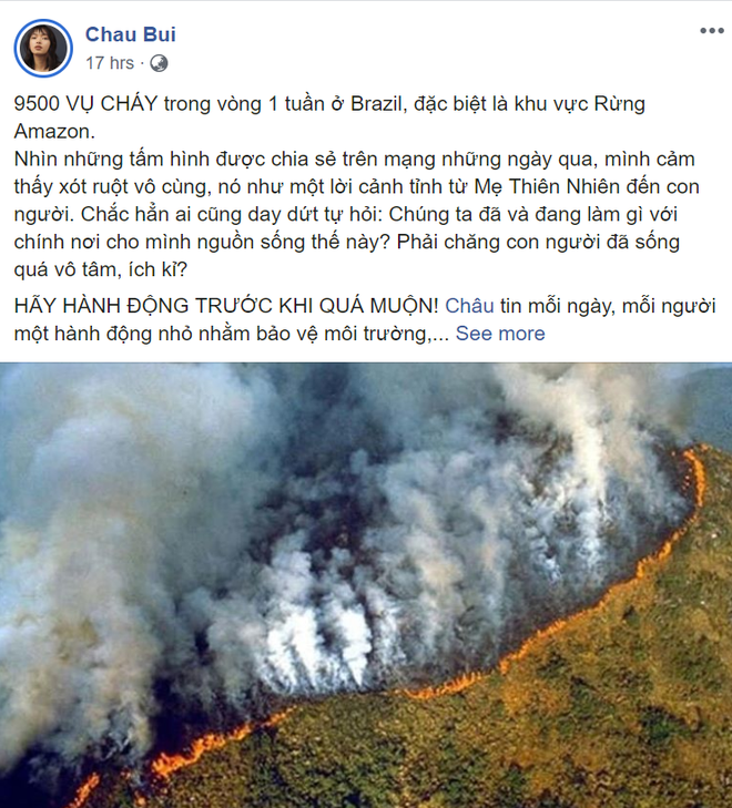 Giới trẻ Việt Nam: Bạn hãy đừng nghĩ cháy rừng Amazon là điều gì đó quá xa xôi! - Ảnh 3.