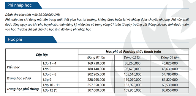 Hàng loạt trường ở TPHCM tự gắn mác Quốc tế, thu học phí khủng tận 380 triệu đồng/năm - Ảnh 3.