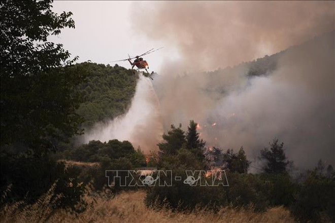 Sơ tán hàng trăm du khách do cháy rừng tại đảo Samos, Hy Lạp - Ảnh 1.