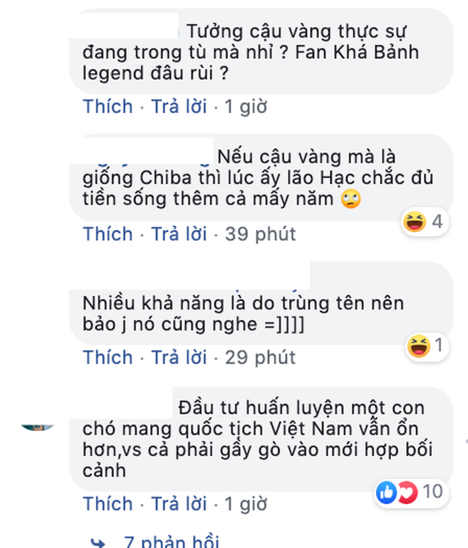 NSX "Cậu Vàng" lên tiếng giữa tâm bão tranh luận về chú chó Nhật: "Chó ta thiên tính tự nhiên cao, không đáp ứng được kĩ thuật!" - Ảnh 4. NSX "Cậu Vàng" lên tiếng giữa tâm bão tranh luận về chú chó Nhật: "Chó ta thiên tính tự nhiên cao, không đáp ứng được kĩ thuật!" - Ảnh 4.
