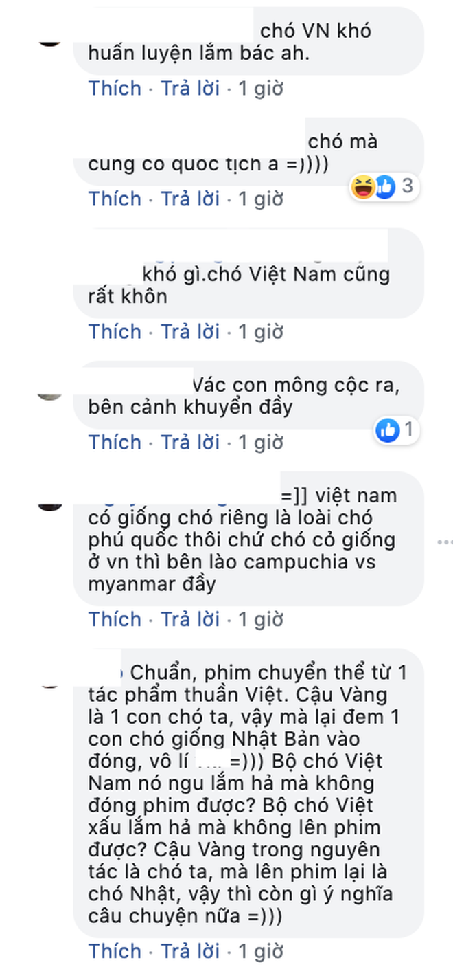 NSX "Cậu Vàng" lên tiếng giữa tâm bão tranh luận về chú chó Nhật: "Chó ta thiên tính tự nhiên cao, không đáp ứng được kĩ thuật!" - Ảnh 4. NSX "Cậu Vàng" lên tiếng giữa tâm bão tranh luận về chú chó Nhật: "Chó ta thiên tính tự nhiên cao, không đáp ứng được kĩ thuật!" - Ảnh 4.