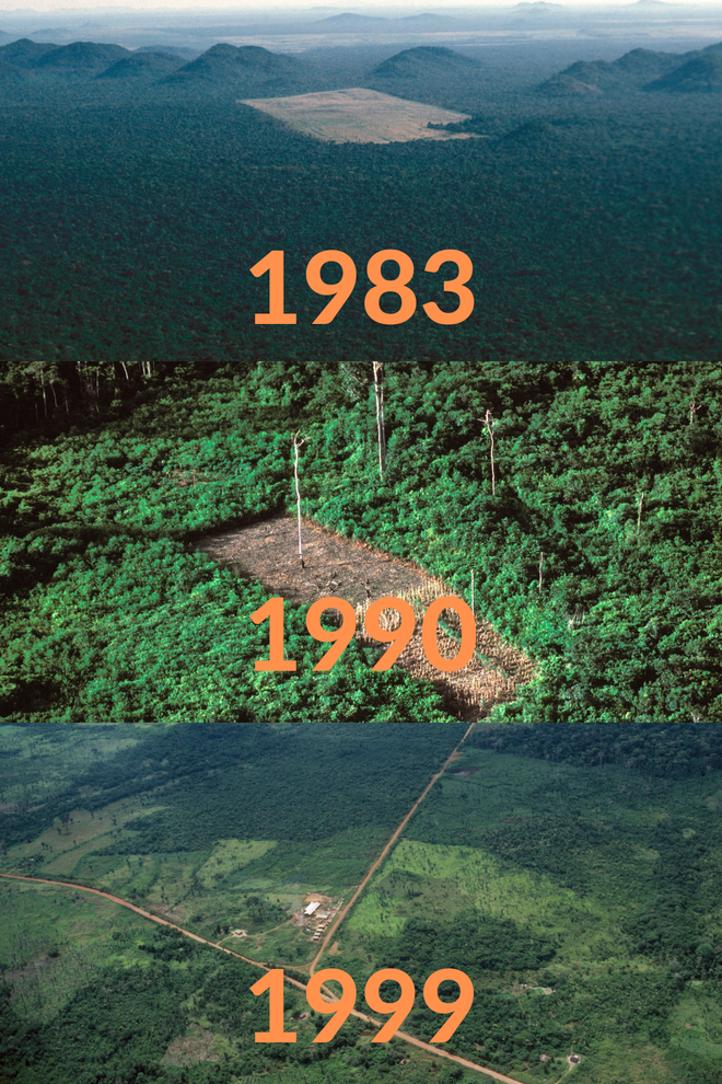 Loạt ảnh Amazon trước và sau đại nạn cháy rừng 2019: Lá phổi xanh ngày nào đã mang đầy bệnh tật do con người đầu độc - Ảnh 8.