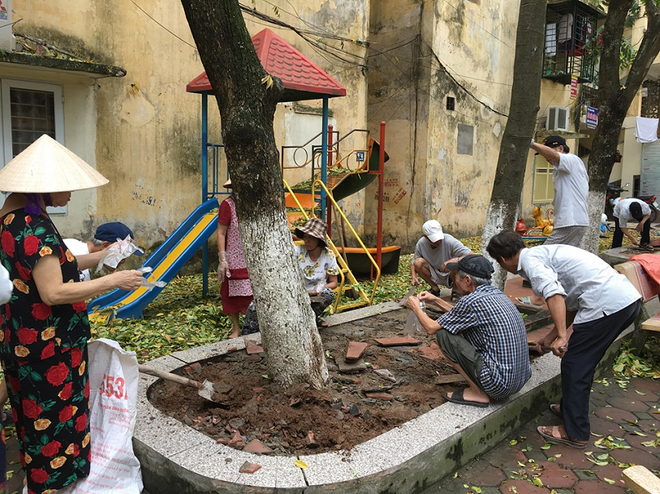 Hà Nội: Người dân hoang mang khi hàng cây sưa hơn 20 năm có dấu hiệu bất thường, rụng lá hàng loạt - Ảnh 7.