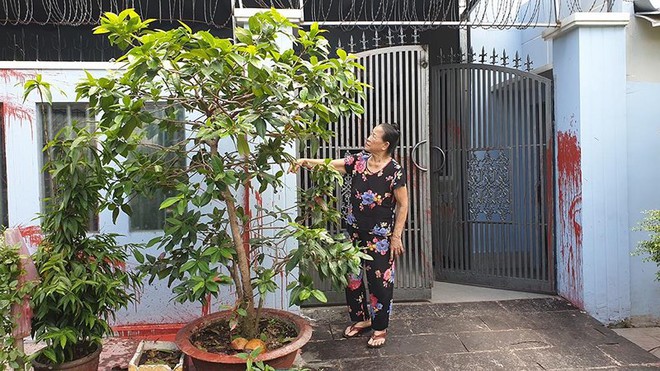 Hai vợ chồng cụ gi&agrave; bị khủng bố bằng sơn, gạch - Ảnh 2.