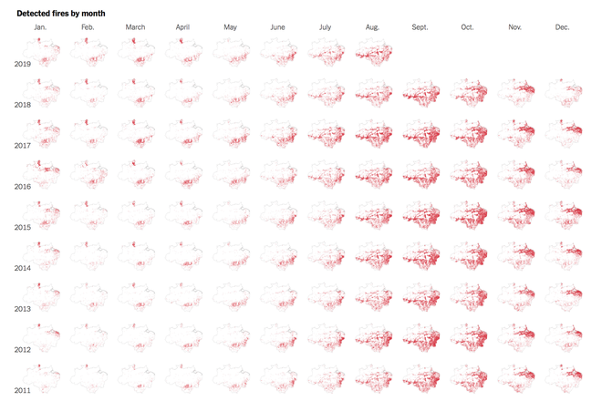 The New York Times: Phân tích ảnh vệ tinh đã chỉ ra chính xác thủ phạm gây thảm họa cháy rừng tại Amazon - Ảnh 3.