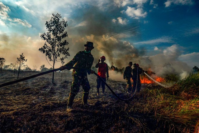 Từ Amazon, Siberia tới Indonesia, cả thế giới đang điêu đứng vì cháy rừng - Ảnh 3.