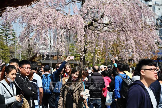 Tokyo là thành phố an toàn nhất thế giới - Ảnh 1.