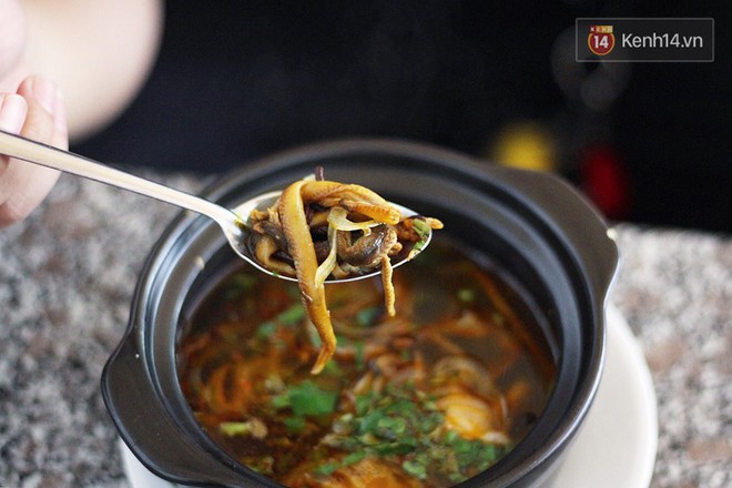 &Iacute;t ai biết, TP. Vinh (Nghệ An) cũng c&oacute; ti tỉ m&oacute;n ngon để c&oacute; thể l&agrave;m hẳn một cuộc food tour - Ảnh 1.