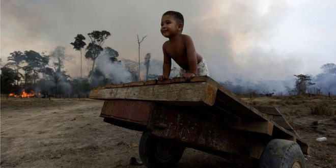 WHO cảnh báo tác động của cháy rừng Amazon đối với sức khỏe trẻ em - Ảnh 1.