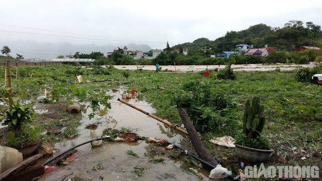 Mưa lũ khiến 1 người chết, hàng trăm ngôi nhà ở Sơn La bị ngập sâu - Ảnh 9.