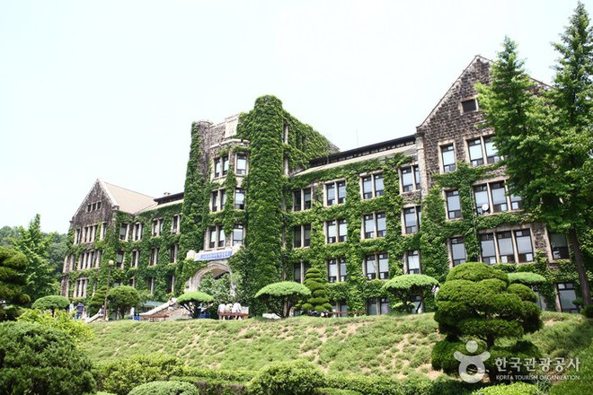 Cả xứ Hàn dậy sóng vì cậu cả nhà Angelina Jolie sẽ nhập học tại trường ĐH Yonsei top 3 danh giá bậc nhất xứ kim chi - Ảnh 6.
