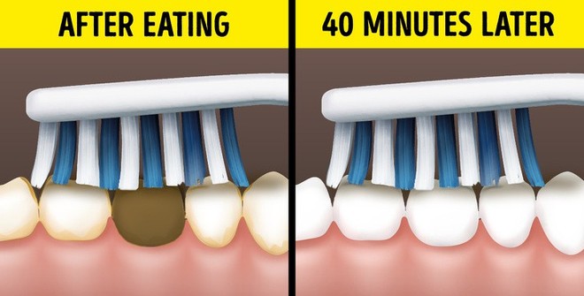 6 bí kíp nhìn thì tưởng nhảm nhí nhưng lại giúp cuộc sống dễ thở đến không ngờ - Ảnh 5.