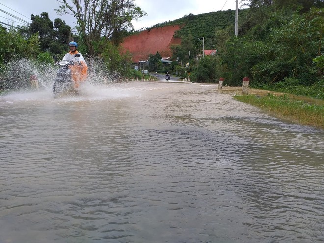 Mưa lớn kéo dài khiến nhiều địa phương tại Lâm Đồng chìm trong biển nước - Ảnh 5.