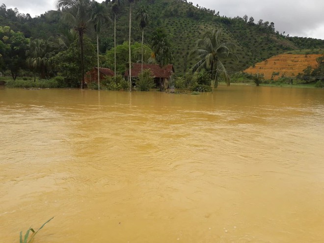 Mưa lớn kéo dài khiến nhiều địa phương tại Lâm Đồng chìm trong biển nước - Ảnh 6.