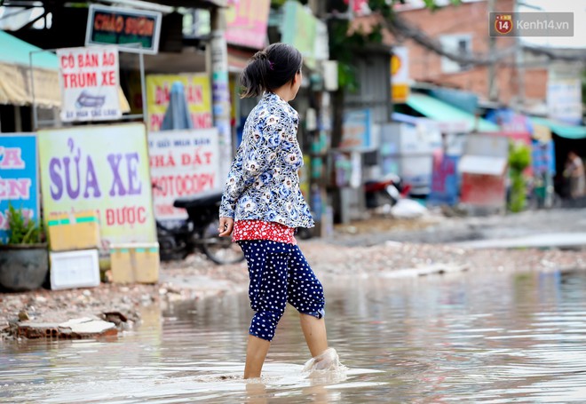 Nhìn từ trên cao con đường lầy lội nhất Sài Gòn: Gần 100 ao nước lớn nối tiếp nhau hơn 2km - Ảnh 15.