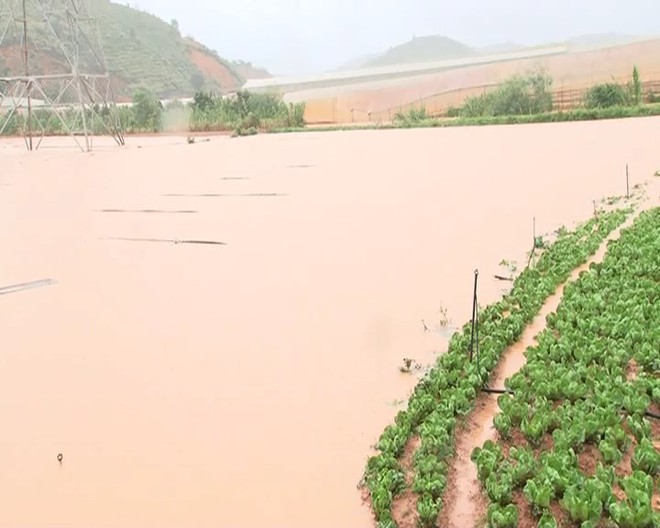 Đà Lạt ngập chưa từng thấy sau trận mưa lớn kéo dài, nhiều ô tô chìm trong biển nước - Ảnh 5.