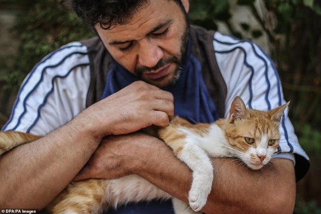 Người mèo vùng chiến sự: Hình ảnh cảm động về anh lái xe suốt 8 năm cứu người và mèo bị bỏ rơi trong mưa bom bão đạn Syria - Ảnh 6.