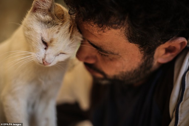 Người mèo vùng chiến sự: Hình ảnh cảm động về anh lái xe suốt 8 năm cứu người và mèo bị bỏ rơi trong mưa bom bão đạn Syria - Ảnh 3.