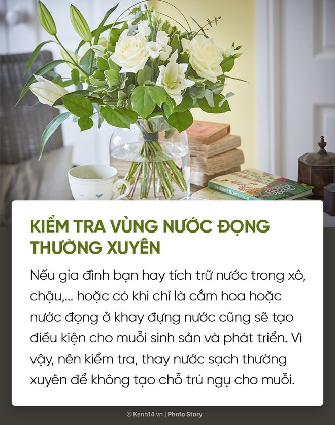 Dịch sốt xuất huyết lại bùng lên, đừng bỏ qua những cách đuổi muỗi đơn giản dễ áp dụng này để muỗi không có cơ hội hại bạn - Ảnh 7.