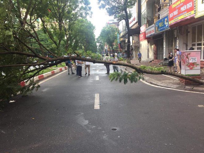 H&agrave; Nội: Danh t&iacute;nh nạn nh&acirc;n đi xe m&aacute;y bị c&acirc;y phượng đổ đ&egrave; tử vong - Ảnh 1.