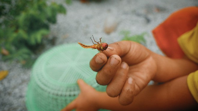 Khoai Lang Thang: Điều Khoai mong muốn sau hành trình này là con trẻ được vui chơi và bồi đắp tâm hồn trên chính mảnh đất quê hương - Ảnh 6.