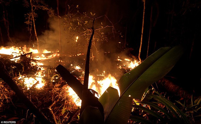Có thêm 2.000 vụ cháy nữa ở Amazon ngay sau khi tổng thống Brazil ban lệnh cấm đốt nương rẫy - Ảnh 4.