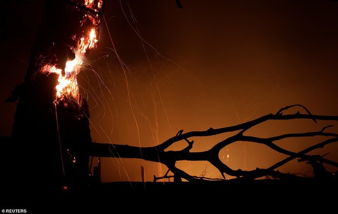 Có thêm 2.000 vụ cháy nữa ở Amazon ngay sau khi tổng thống Brazil ban lệnh cấm đốt nương rẫy - Ảnh 5.