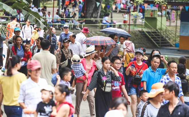 Người dân ùn ùn đổ về Thảo Cầm Viên Sài Gòn dựng lều, mắc võng nằm nghỉ lễ 2/9 - Ảnh 3.