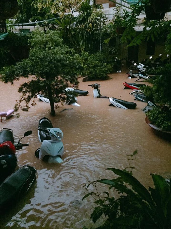 Thái Nguyên ngập sâu sau trận mưa lớn, nhiều nhà cửa, ô tô bị nước mưa nhấn chìm - Ảnh 4.