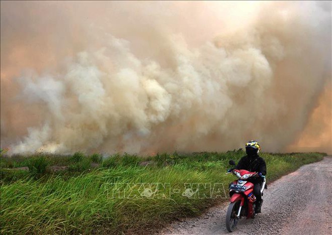 Cháy rừng dữ dội ở Indonesia, hàng nghìn người làm lễ cầu mưa - Ảnh 1.