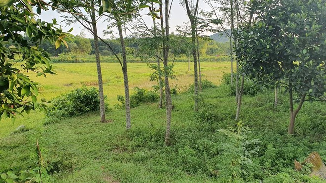 Vụ 2 g&atilde; đ&agrave;n &ocirc;ng nghi x&acirc;m hại 2 chị em ruột khiến 1 b&eacute; c&oacute; bầu: Gia đ&igrave;nh đ&atilde; đưa con đi bỏ thai nhi - Ảnh 2.