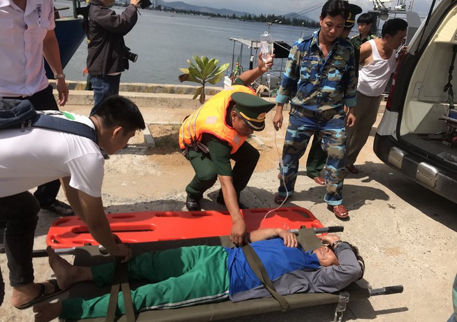 Đà Nẵng: 1 ngư dân tử vong, 3 người nhập viện nghi ngộ độc do ăn cá nóc - Ảnh 1.