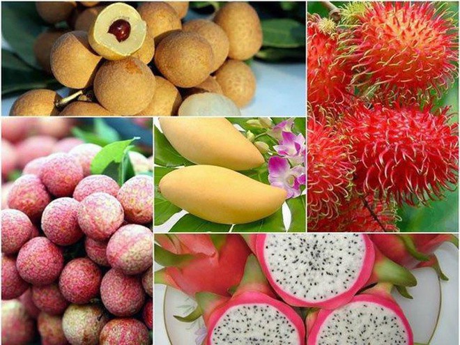 6 loại trái cây tươi ở Việt Nam đã được xuất khẩu thành công với giá bán khó tin - Ảnh 1.