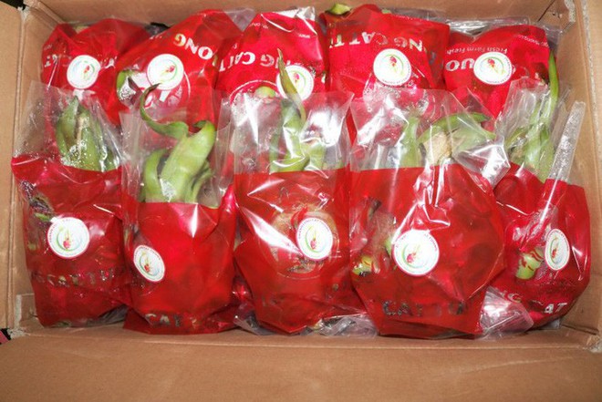 6 loại trái cây tươi ở Việt Nam đã được xuất khẩu thành công với giá bán khó tin - Ảnh 6.