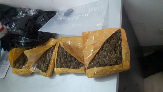 Bắt 2 sinh vi&ecirc;n mua b&aacute;n gần 1,5kg cần sa ở Đ&agrave; Nẵng - Ảnh 2.