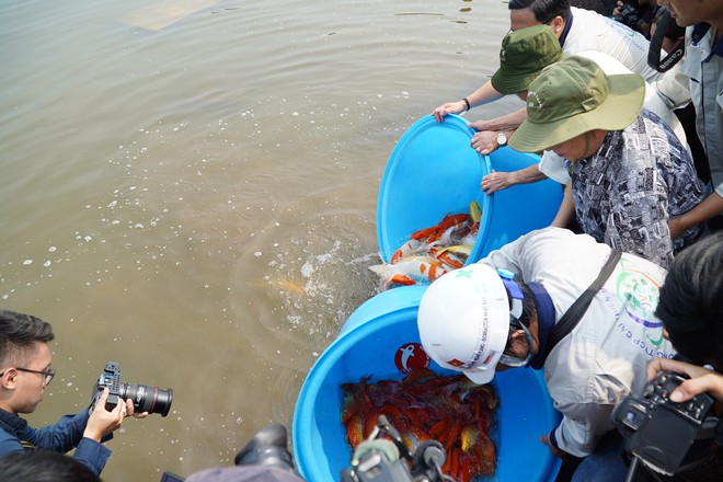 Chuyên gia Nhật thả cá Koi xuống sông Tô Lịch để chứng minh chất lượng nước sau khi xử lý - Ảnh 5.