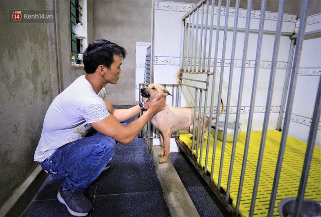 Cãi lời vợ, chàng trai trẻ bỏ hàng trăm triệu để “đổi đời” cho hàng nghìn chú chó mèo bị bỏ rơi ở Huế - Ảnh 13.