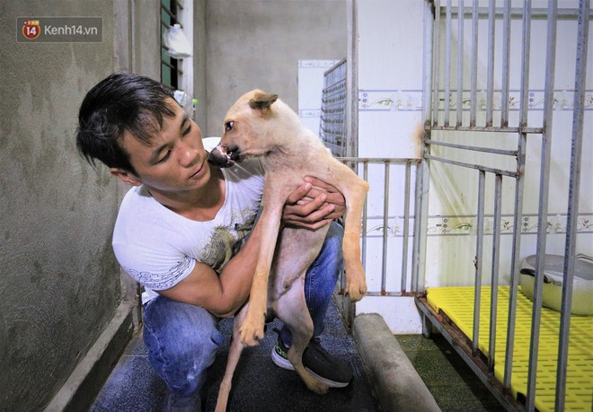 Cãi lời vợ, chàng trai trẻ bỏ hàng trăm triệu để “đổi đời” cho hàng nghìn chú chó mèo bị bỏ rơi ở Huế - Ảnh 15.