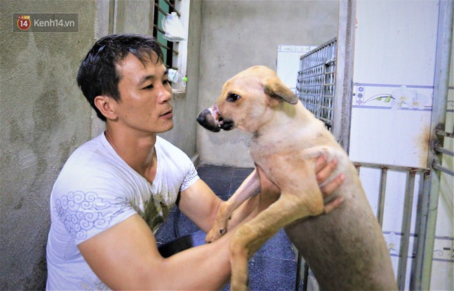 Disobeying his wife, the young man spent hundreds of millions to "change the lives" of thousands of abandoned dogs and cats in Hue - Photo 2.