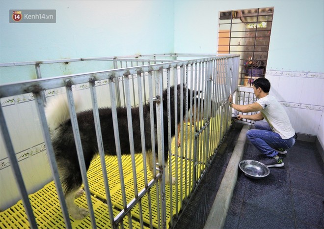 Cãi lời vợ, chàng trai trẻ bỏ hàng trăm triệu để “đổi đời” cho hàng nghìn chú chó mèo bị bỏ rơi ở Huế - Ảnh 8.