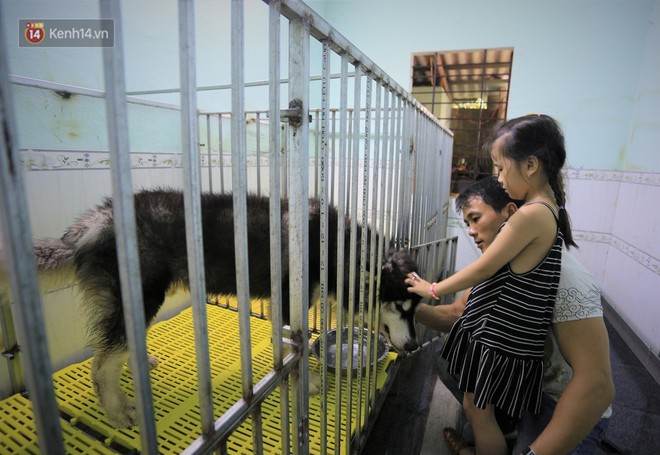 Cãi lời vợ, chàng trai trẻ bỏ hàng trăm triệu để “đổi đời” cho hàng nghìn chú chó mèo bị bỏ rơi ở Huế - Ảnh 16.